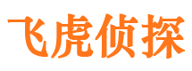 路北市侦探公司